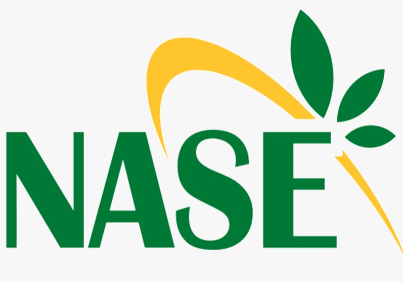 Nase